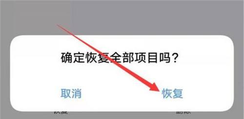 手机视频被删后的数据恢复技巧（从备份到专业工具，帮您找回重要视频）