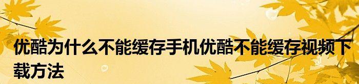 将优酷缓存视频导入本地相册的方法（利用优酷缓存视频，轻松将喜爱的视频保存到本地相册）