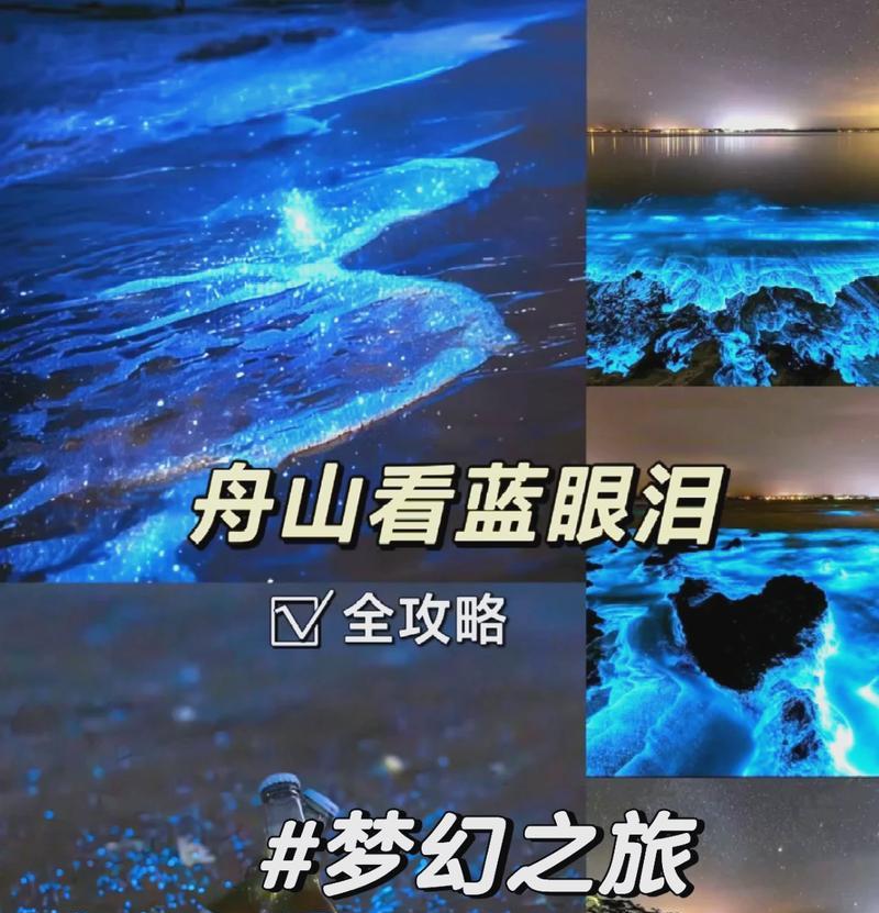 i74510U处理器（揭开i74510U处理器的神秘面纱，了解其性能和功能）