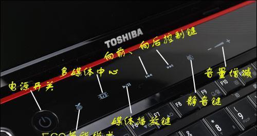 东芝笔记本使用教程（东芝笔记本的关键功能和操作技巧让您高效使用电脑）
