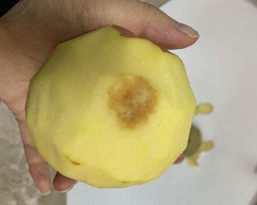 苹果4排坏了会带来什么影响？（探究苹果4排坏对用户使用的影响及解决办法）