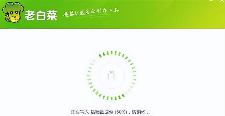 大白菜安装启动教程（轻松掌握大白菜的安装与启动技巧）