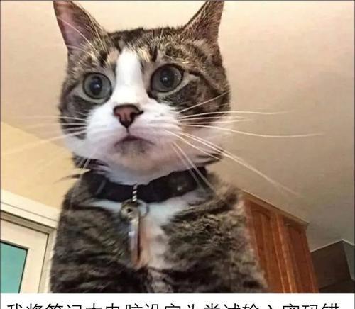 电脑密码输入错误锁定了，如何解决？（密码错误锁定、解锁方法及注意事项）